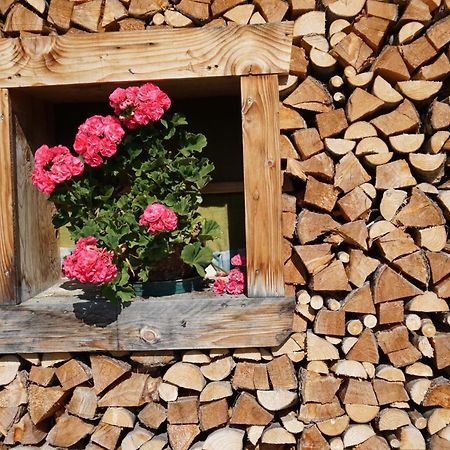 Apartament Studio Schwarzenauer Alpbach Zewnętrze zdjęcie
