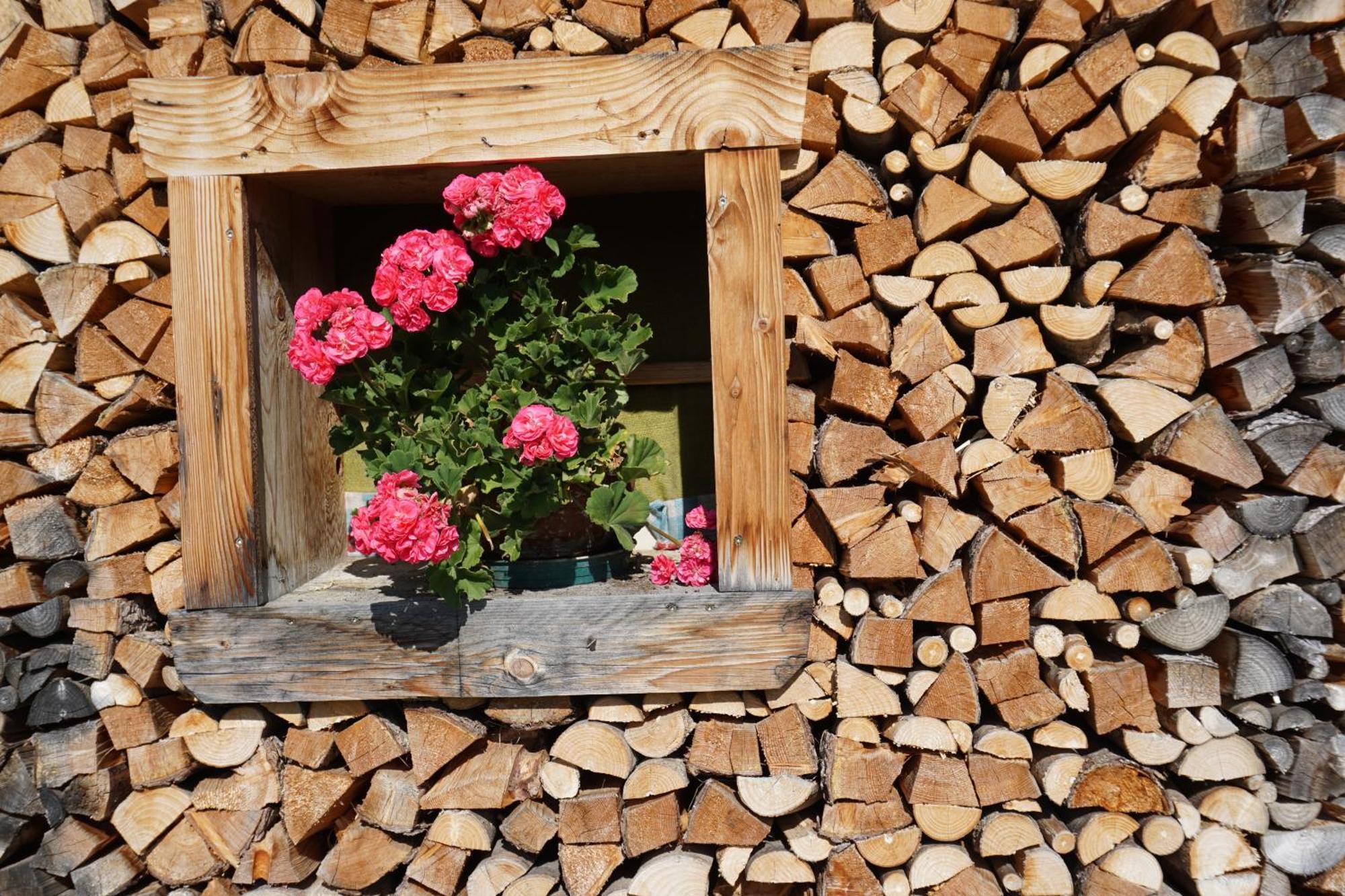 Apartament Studio Schwarzenauer Alpbach Zewnętrze zdjęcie