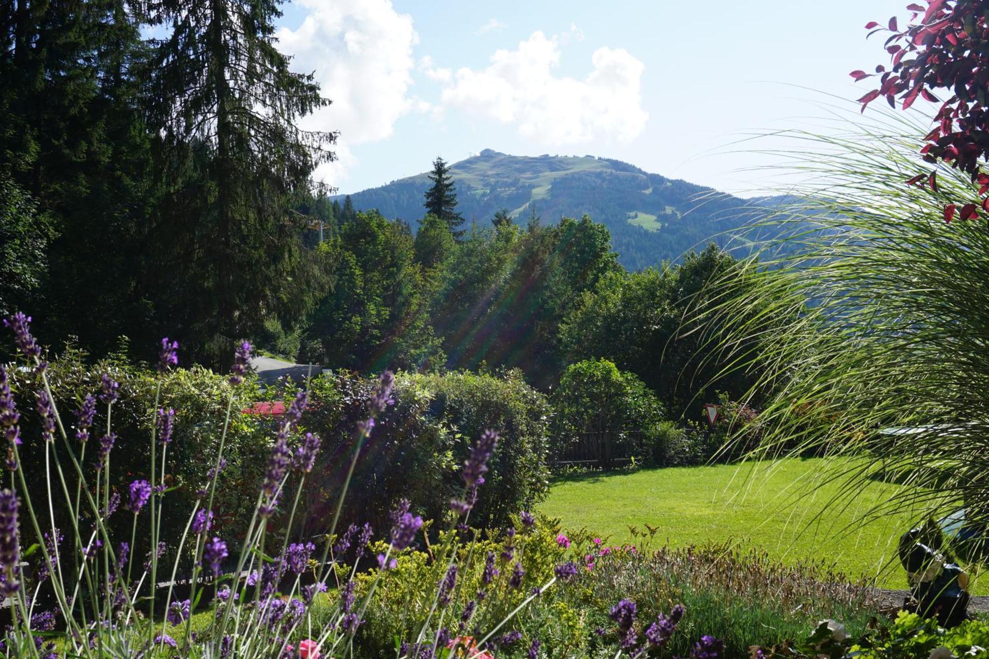 Apartament Studio Schwarzenauer Alpbach Zewnętrze zdjęcie