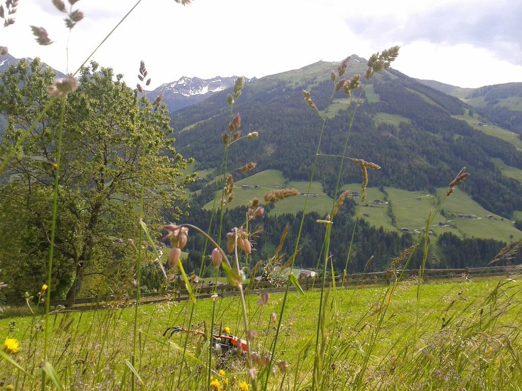 Apartament Studio Schwarzenauer Alpbach Zewnętrze zdjęcie