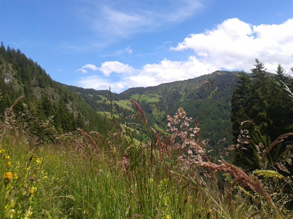 Apartament Studio Schwarzenauer Alpbach Zewnętrze zdjęcie