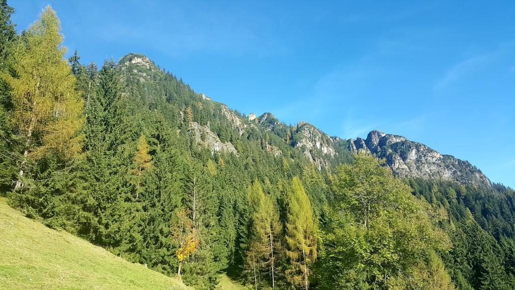 Apartament Studio Schwarzenauer Alpbach Zewnętrze zdjęcie