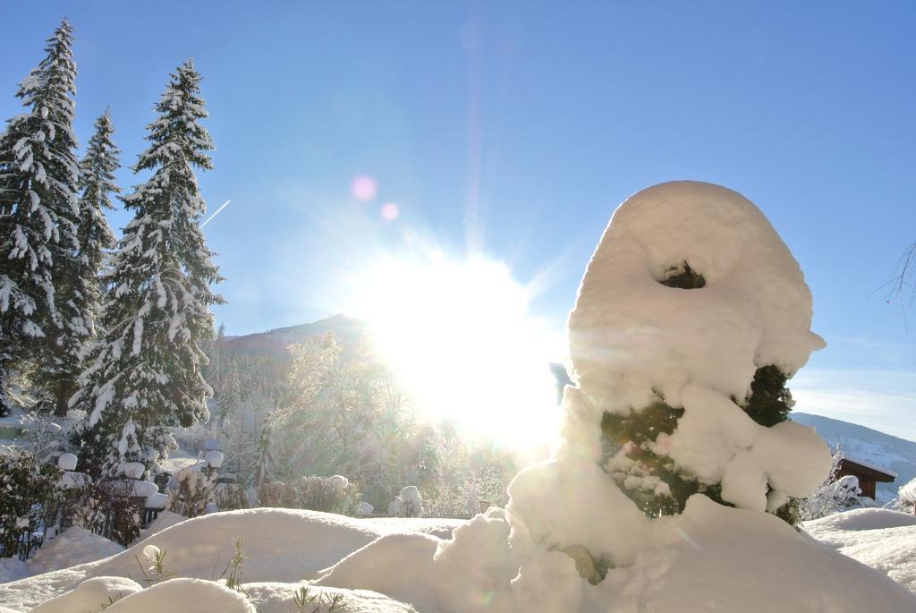Apartament Studio Schwarzenauer Alpbach Zewnętrze zdjęcie