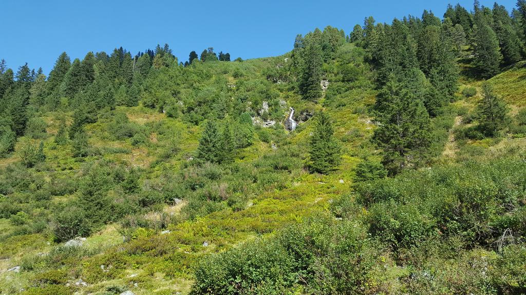 Apartament Studio Schwarzenauer Alpbach Zewnętrze zdjęcie