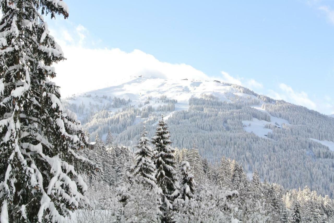 Apartament Studio Schwarzenauer Alpbach Zewnętrze zdjęcie